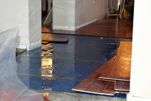 Professional Burst Pipe Cleanup technician working in Henrietta, TX